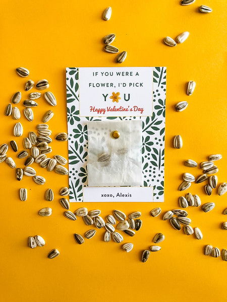 I'd Pick You Valentine / Sunflower Seeds