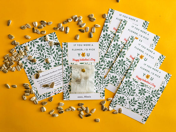 I'd Pick You Valentine / Sunflower Seeds